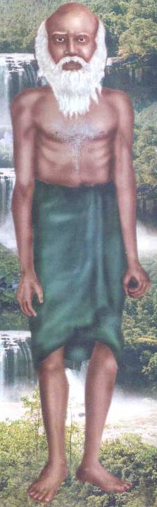 Echil Porukki Arumuga Siddha
